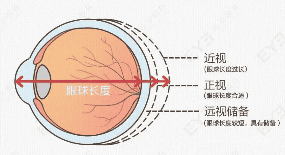 微信图片_2025-11-14_172315_888.png